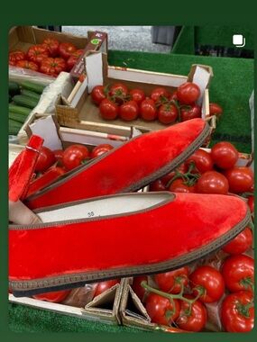 NWT Viani Milano x Lily Sisto Como Flats